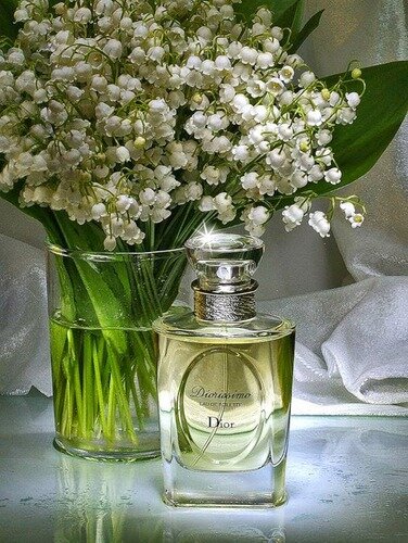 На фото – духи Diorissimo от Christian Dior. Средняя цена по РФ: 8800 рублей (7,5 мл).