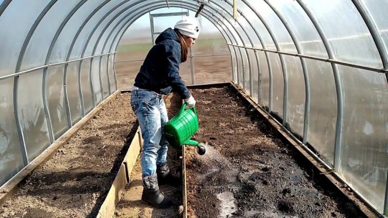 Весенняя подготовка почвы в теплице к высадке баклажанов