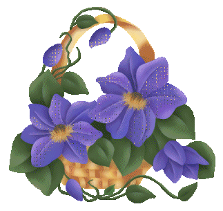 Петуния