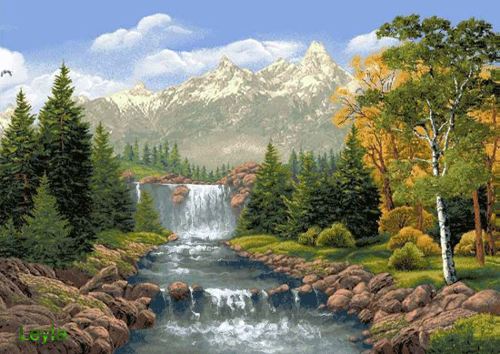яндекс картинки
