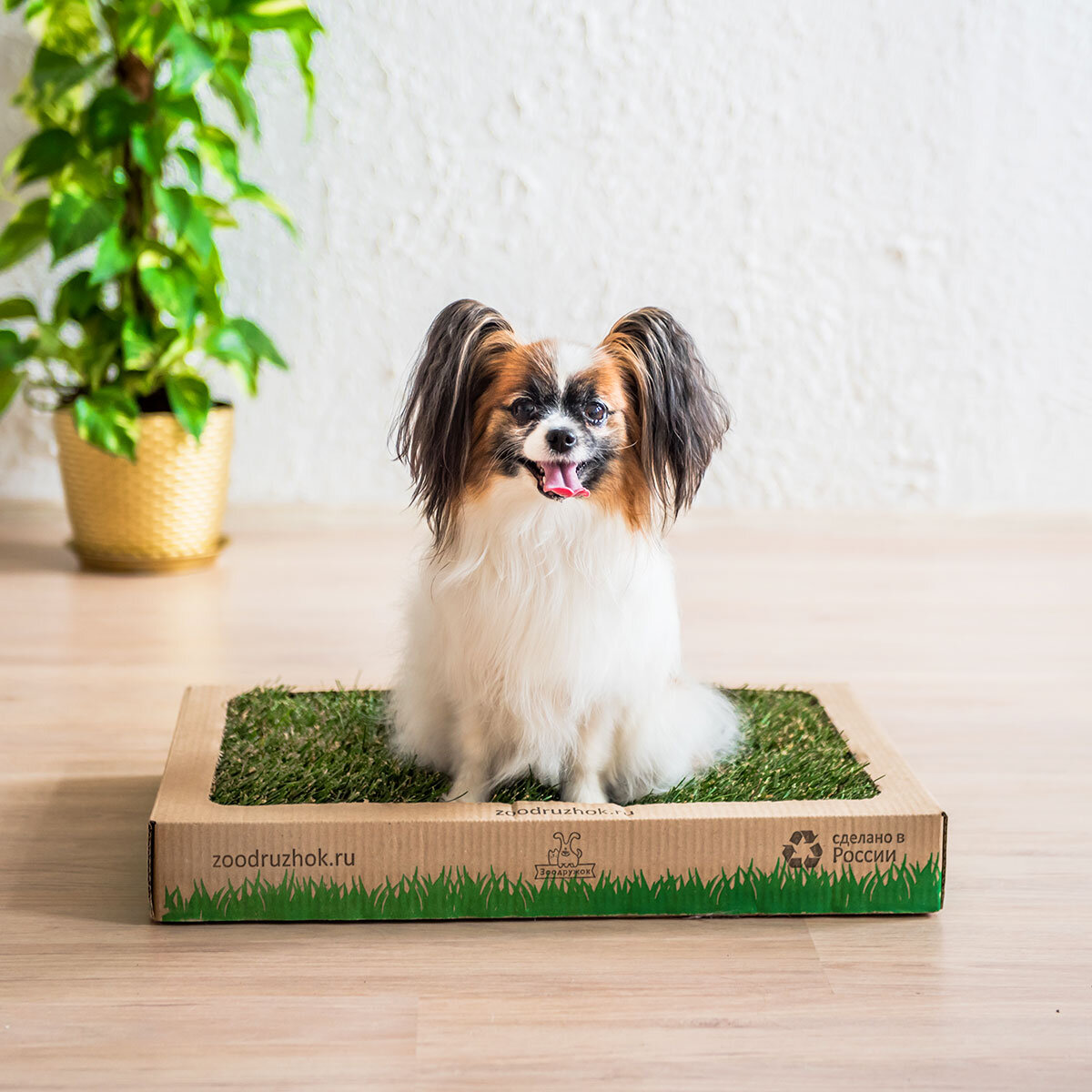 Источник фото: zoodruzhok.ru (официальный сайт)