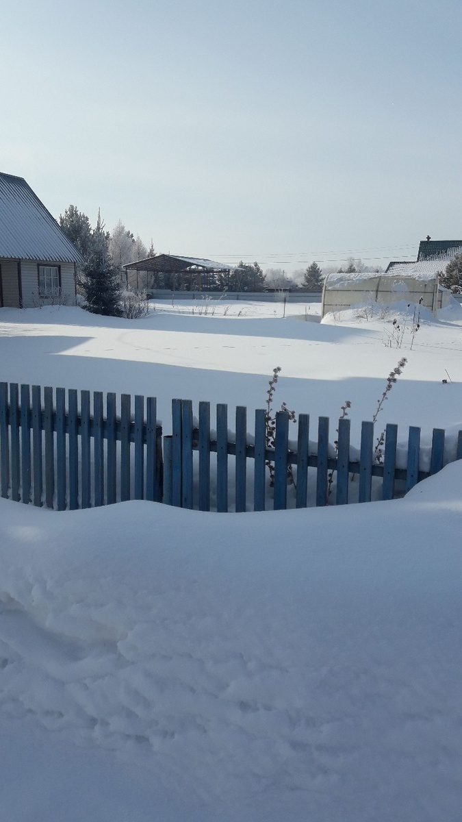 Моя дача в конце февраля. 25 км от Новосибирска. Ровный снежный покров 60-70 см. А сейчас еще больше. Забора, что на переднем крае, уже не видно.