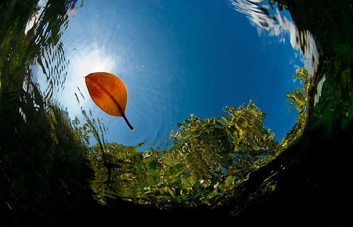 Фото с сайта https://fishki.net/