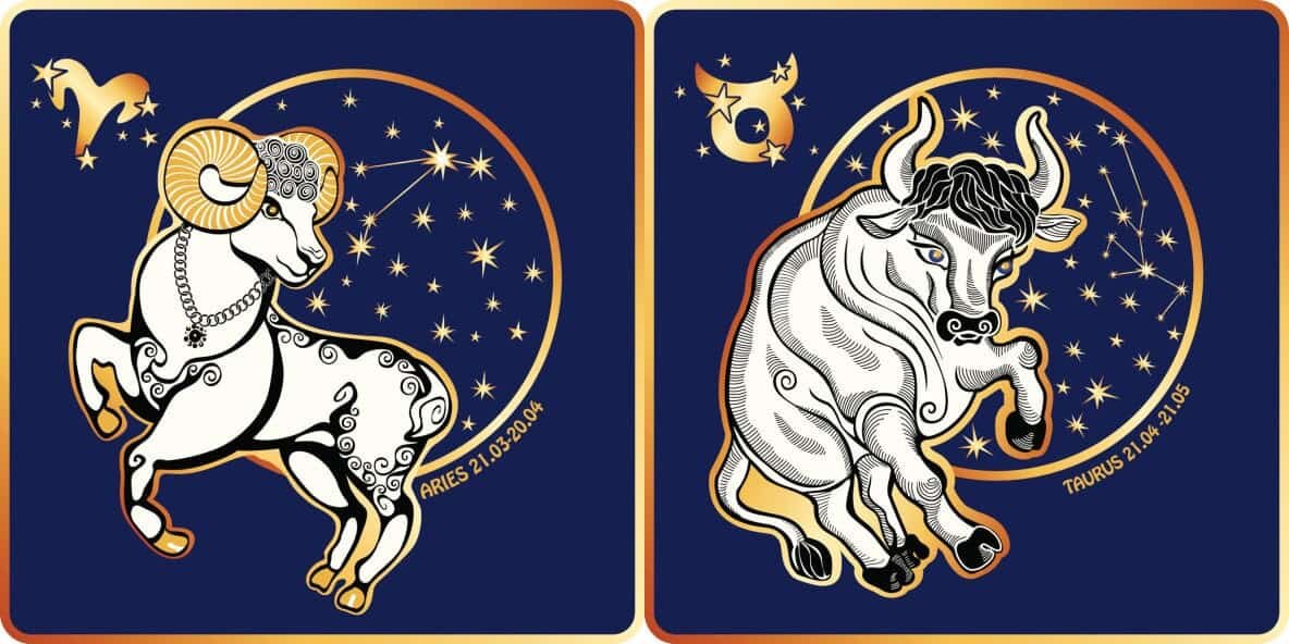 фото из открытого источника