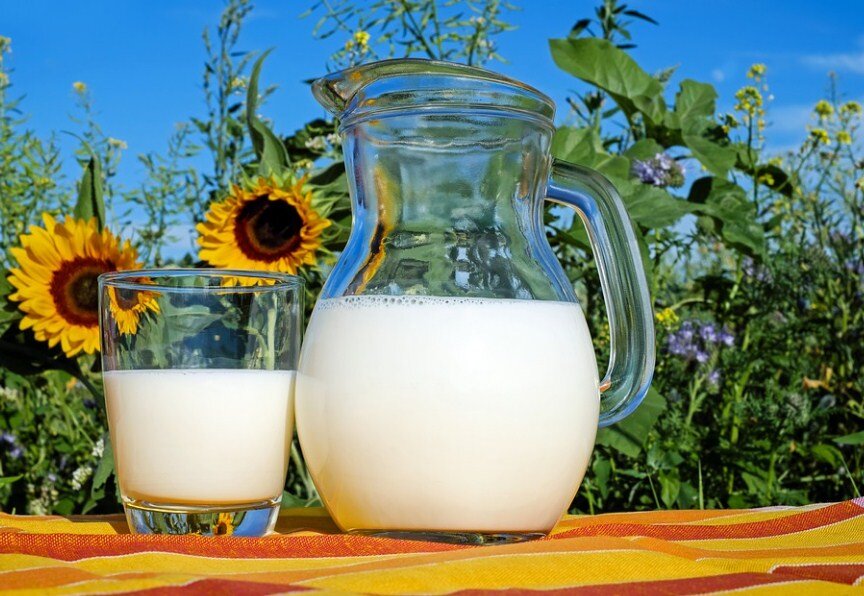 Помогает ли молоко с похмелья | Дневник алкоголика | Дзен