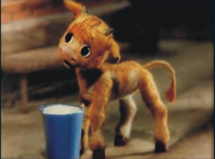 То, как производятся продукты животного происхождения, к сожалению, неизвестно многим людям. Чтобы у коровы было молоко ,нужно ,чтобы у нее родился теленок.
Телят отнимают у матерей сразу после рождения, это серьезная психологическая травма для коров и телят. Телят помещают в тесные клетки, а все молоко, которое предназначалось для теленка, используют люди. («Молоко, которое пьют люди, полито слезами скорбящих матерей – коров, у которых сразу после рождения отнимают их детей».)Телята-девочки будут потом сами "производить молоко". Телята-мальчики на обычных молочных фермах продаются на говядину.                                                                            "--  -Все молочные коровы рано или поздно идут на говядину?                                                                    -В какой-то момент корова начинает давать меньше молока. Тогда приходится принимать деловое решение.
 Телят кормят жидкой пищей, чтобы они быстрее набирали вес, поэтому инстинкт жевать жвачку остается неудовлетворенным. Из-за этого телята лижут шерсть на теле до ран, и, чтобы этого избежать, их приковывают цепью за шею. Размеры загона не позволяют телятам не только двигаться, но даже лечь и свободно вытянуть ноги. Постоянный стресс приводит к тому, что телята часто болеют, очень слабы. … В ОДИНОЧЕСТВЕ, В ТЕМНОТЕ, НА ТВЕРДОМ БЕТОННОМ ПОЛУ, БЕЗ ПОДСТИЛКИ, НЕ УВИДЕВ НИ РАЗУ В ЖИЗНИ СОЛНЦА, НЕБА, ТРАВЫ, ТЕЛЕНОК ПРОВЕДЕТ МУЧИТЕЛЬНЫЕ 11 МЕСЯЦЕВ ЖИЗНИ, ЕСЛИ ЕГО РАСТЯТ НА ГОВЯДИНУ, И 14 НЕДЕЛЬ – ЕСЛИ НА ТЕЛЯТИНУ.» 
Даже при помощи ухищрений человека период лактации коровы продлить до бесконечности невозможно, поэтому через несколько лет ее снова надо заставлять рождать, а телят отправлять на бойню, потому что на свет производятся в одинаковом количестве телята и телочки, а для производства молока нужны только телочки. Поэтому не существует отдельно молочной промышленности, есть мясо-молочная!                                                                                                                                                                 Люди, которые изучают ведическую культуру, в которой  корова - священное животное, считают, что молоко - священный напиток. Но то, что было огромное количество лет назад, в ведическое время, может совершенно измениться в наши дни. Например, пишут, что когда-то, в древности, люди могли пить молоко, но только тех животных , которые сами были согласны дать его людям. Коровы  гуляли, сами могли выбрать друзей, пару, рождать детей и быть рядом с ними, заботиться о них. В современном мире ситуация изменилась. Промышленное производство молока напрямую связано не только с убийством, но и с тем, что у матерей-коров отнимают детей, телят. А предназначенное телятам молоко везут в магазины. 
Животноводство старается получить от животного максимум прибыли при минимальных затратах. На современных фермах животные стали безликими единицами, машинами для производства мяса, молока, яиц.
Кроме того, молоко очень вредно для здоровья. Молоко - продукт исключительно индивидуальный, предназначенный для передачи информации от матери к её непосредственному ребенку. В молоке самки любого биологического вида содержатся гормоны, ферменты, антитела и прочие вещества, которые передаются от конкретной матери ее биологическому ребенку для защиты его организма! Эти вещества всегда будут чужеродными в случае передачи другому ребенку. Есть выражение- «впитать с молоком матери».Во время кормления детей желательно думать о хорошем.Но, если вы хотите, чтобы вырос именно человек, с качествами, присущими человеку,  не животное, ребенку нужно пить только человеческое молоко! Если у мамы не хватает молока, чтобы кормить своего ребенка, можно использовать донорское молоко. Раньше были кормилицы. Ведь ,если людям нужно сделать переливание крови, не берут же кровь животных. Возможно, в будущем ,когда человечество перейдет на веганство, это будет распространено- замороженное донорское молоко других мам для помощи тем детям ,которые не могут получить молоко своей мамы.

