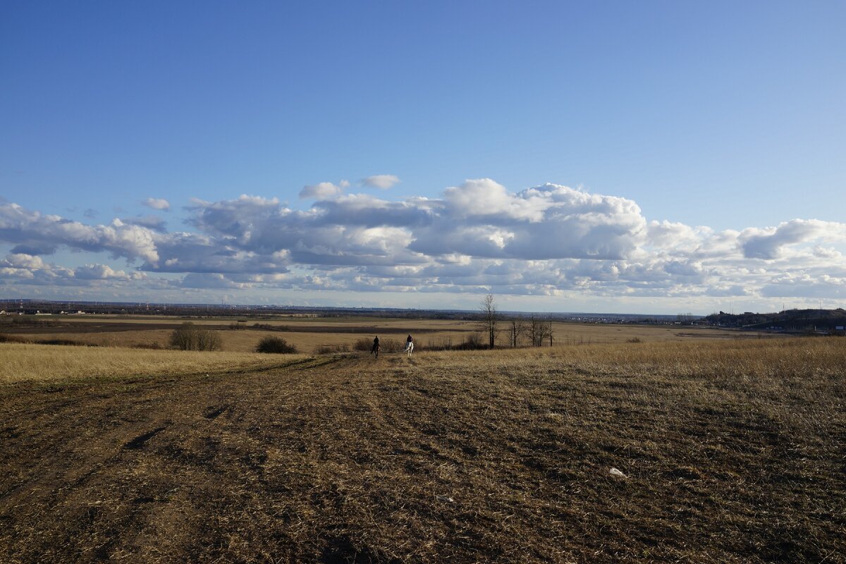 Вальдшнеп летит и в полях. От островка леса к островку. Да, не 15 пролетов, но 3-4 без проблем при благоприятной погоде. 
