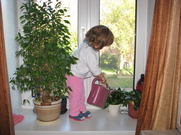 Цветы для детской комнаты.🌸