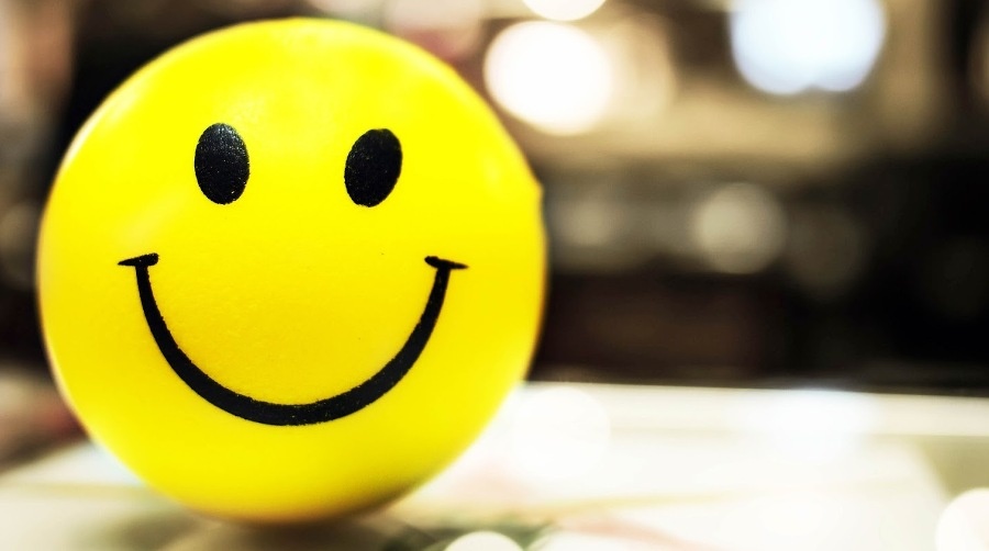 Фото из открытых источников Яндекс- картинок