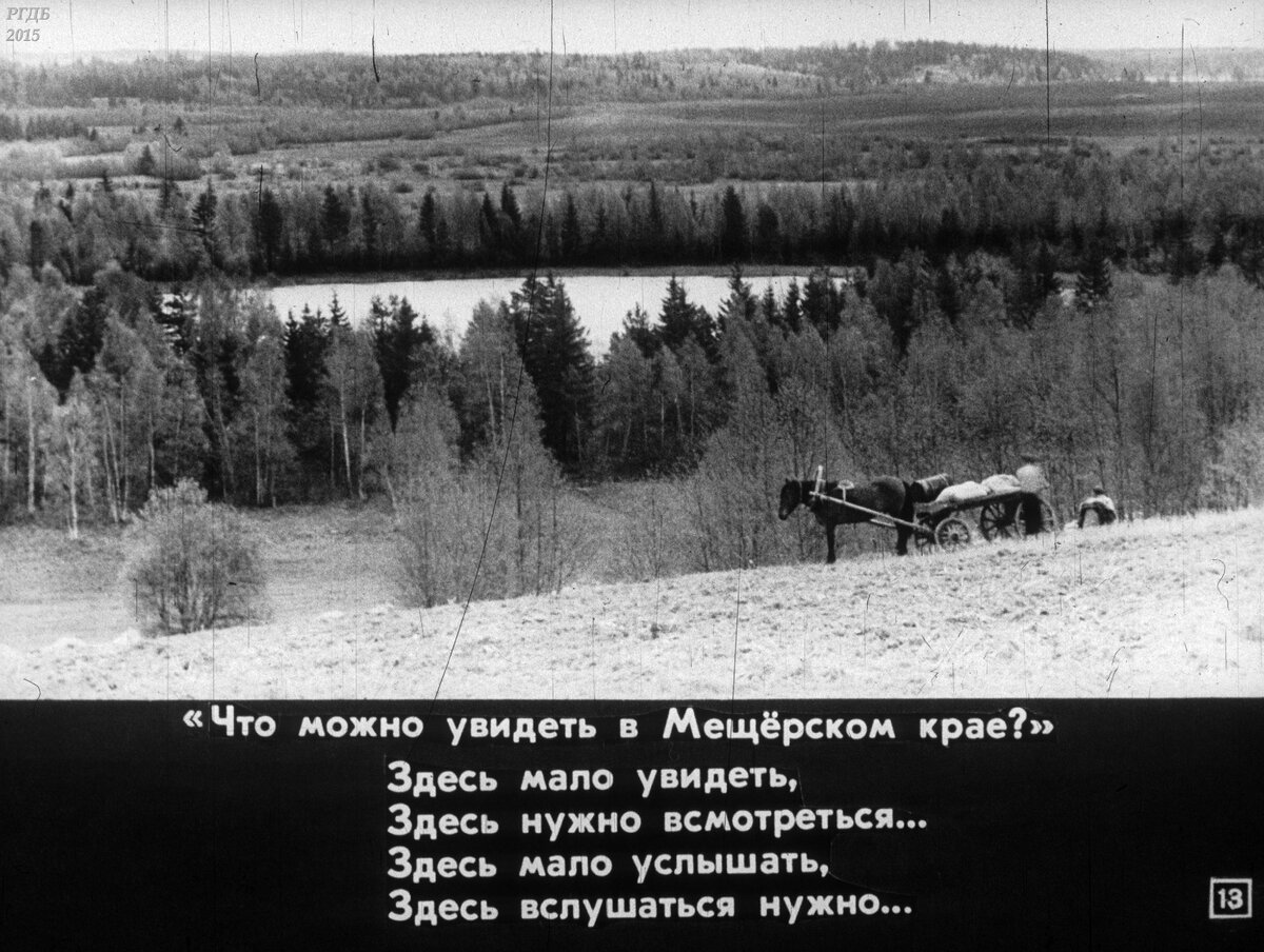 Здесь мало услышать здесь вслушаться нужно. Константин Паустовский Мещерская сторона. «Мещёрская сторона» (1939).. Очерк Мещерский край. Фотография Паустовский в Мещерском.