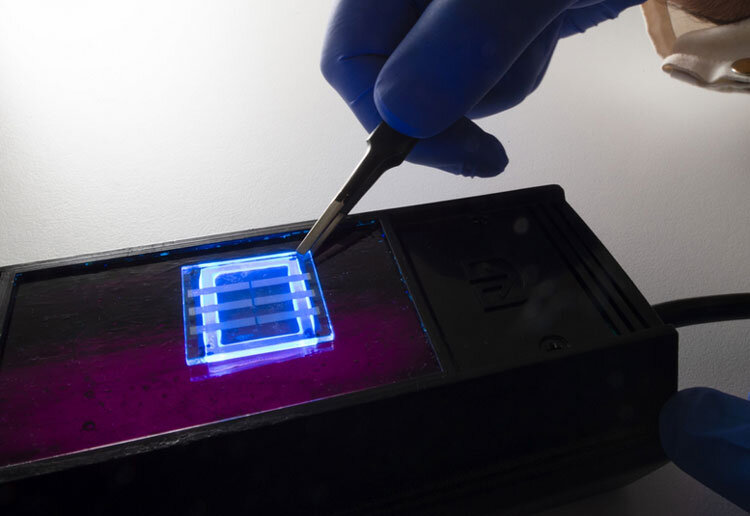 OLED, сделанный из волос человека (Queensland University of Technology) 