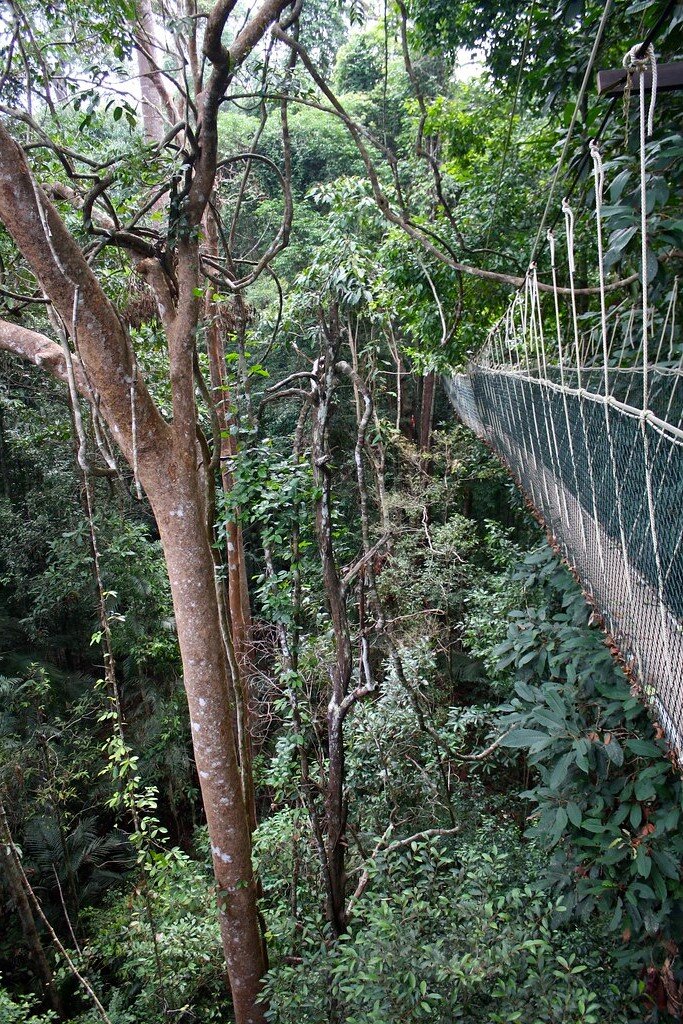 Подвесная канатная дорога