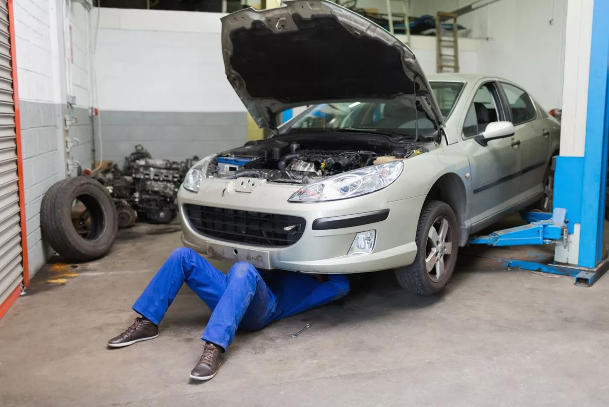 фото из открытого источника