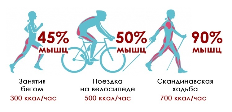 Эффективность скандинавской ходьбы очевидна