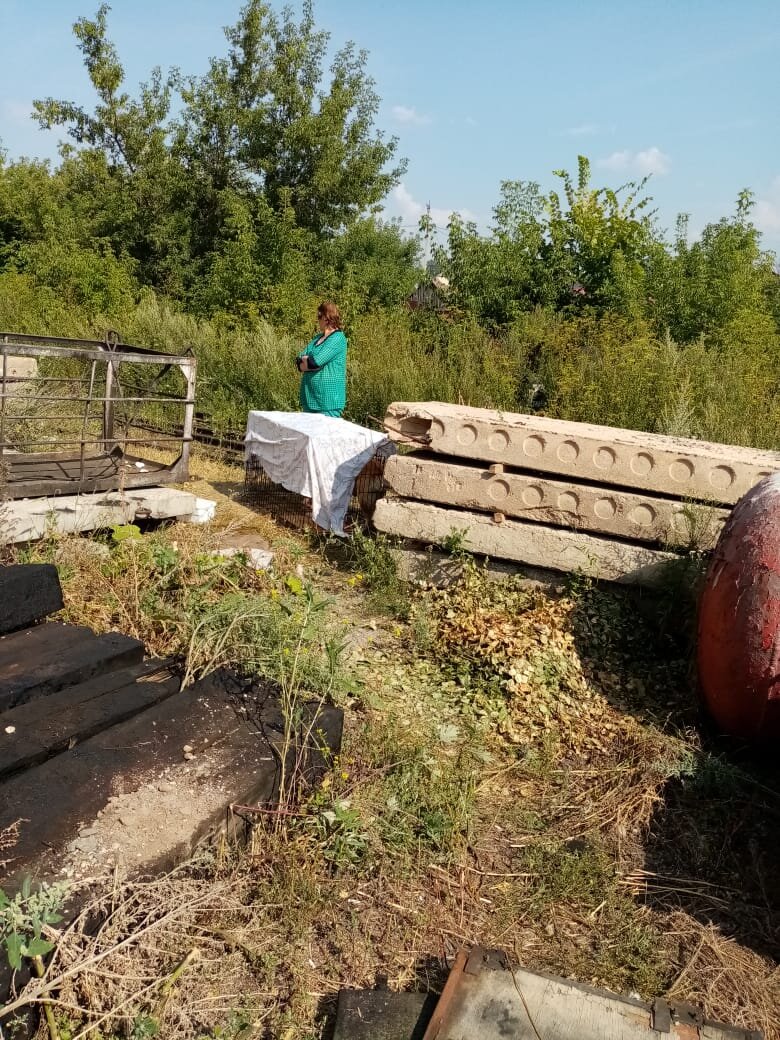 Поймали Даниель Депо