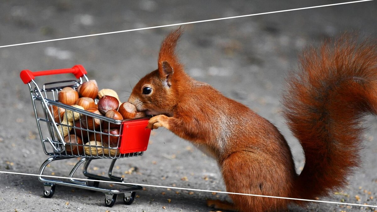 Источник: wallpaperscave.ru