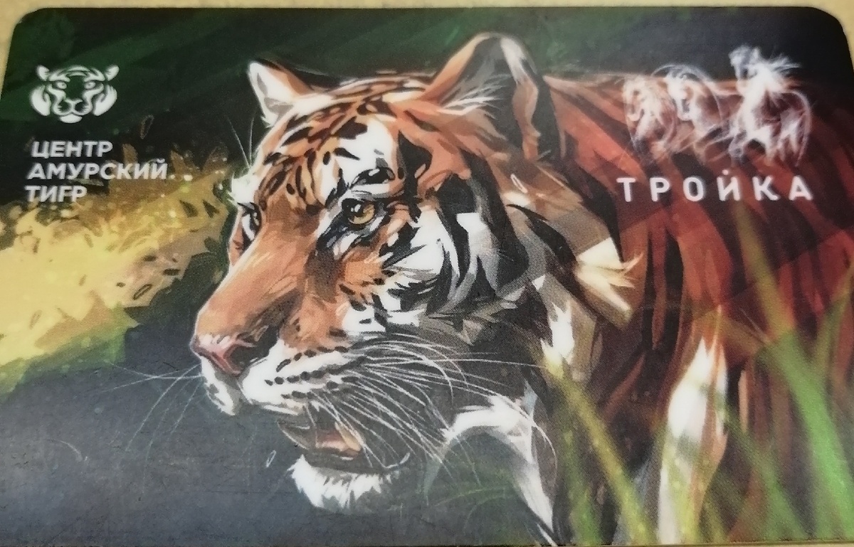 Карта тройка