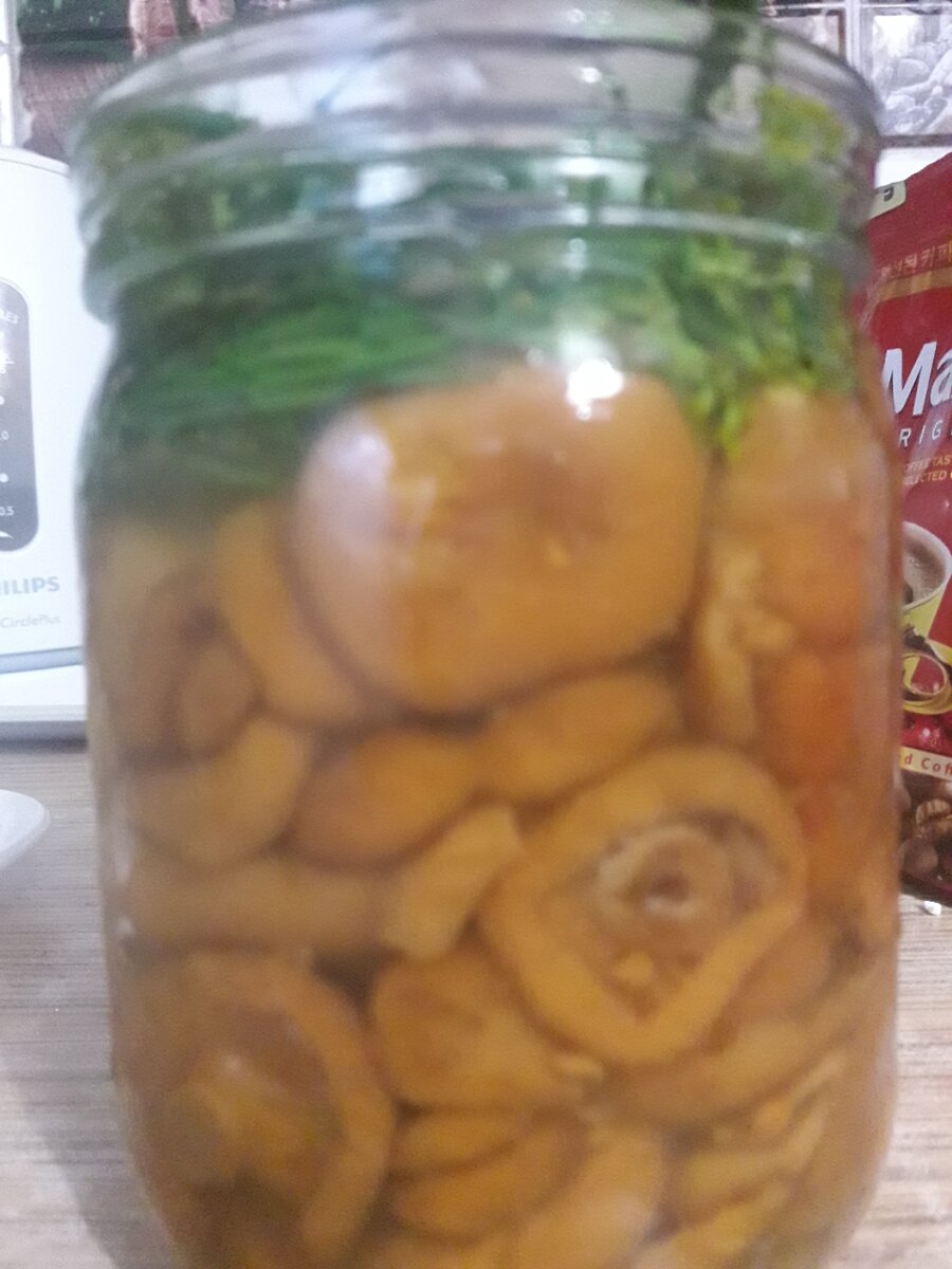 Рыжики уже в банке.Фото автора.