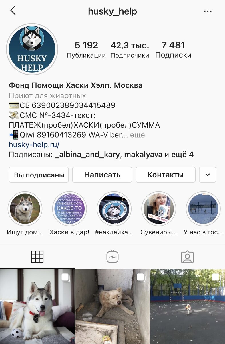 Instagram @husky_help