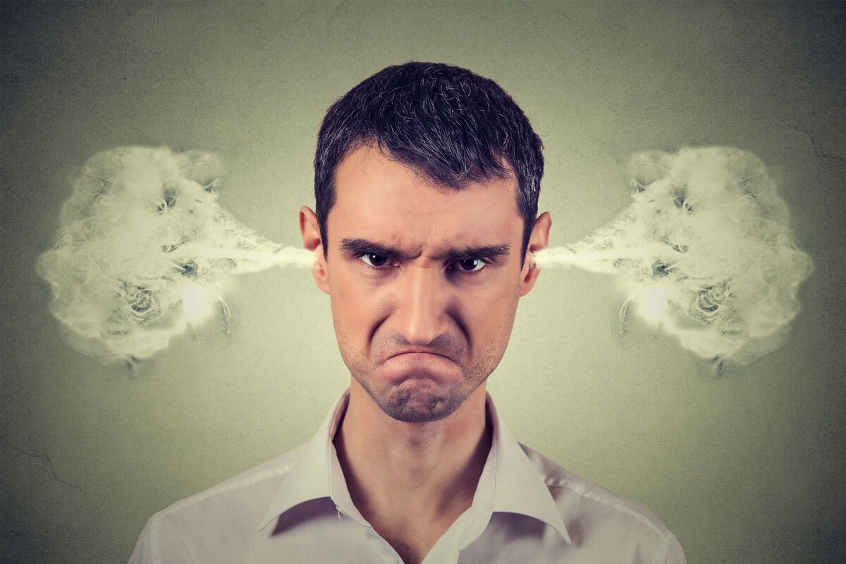 они недовольны всем