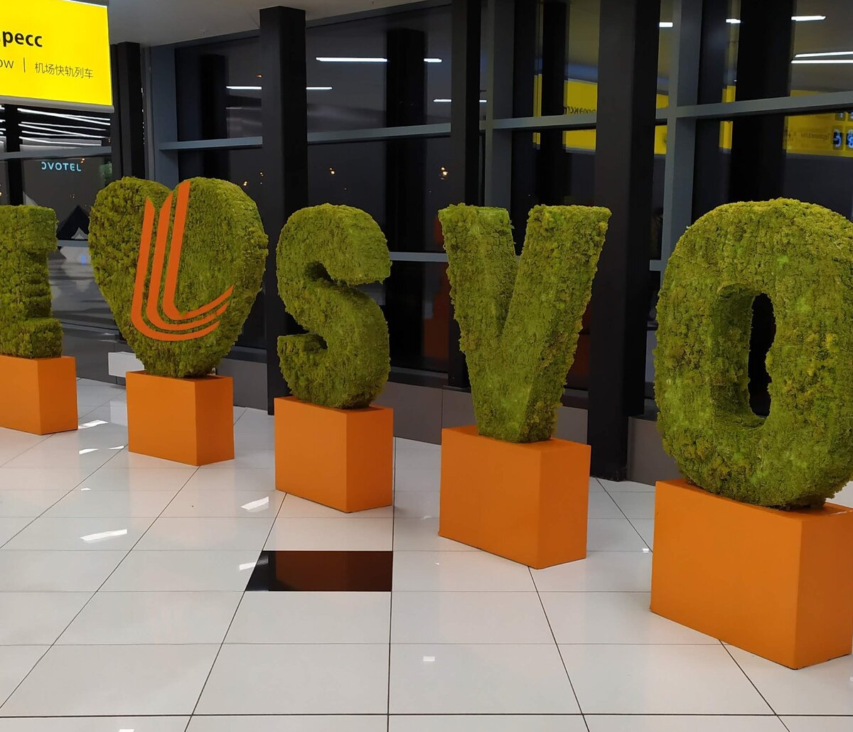 Аэропорт в Шереметьево.