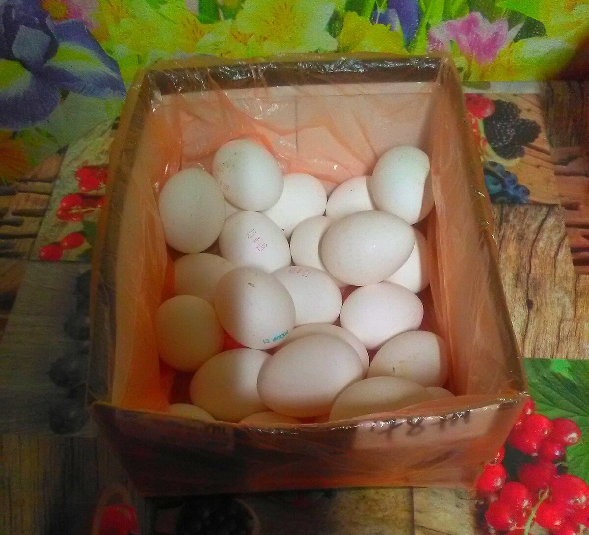 Дом для яиц.