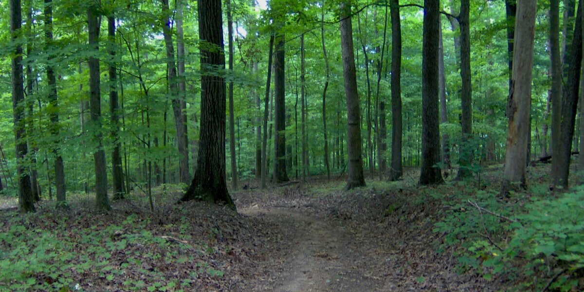 Разве это не прекрасно?