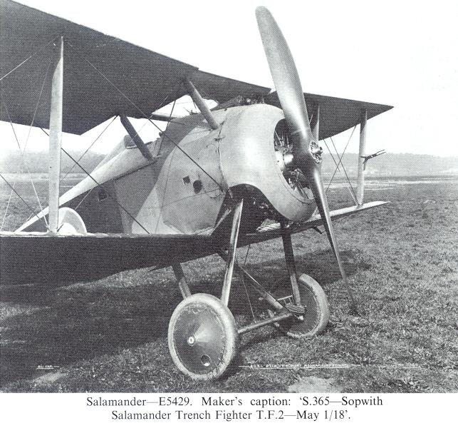 Фото из открытых источников.