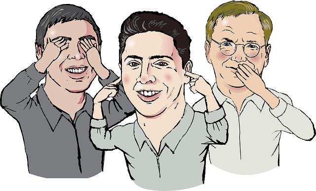 Источник pixabay.com