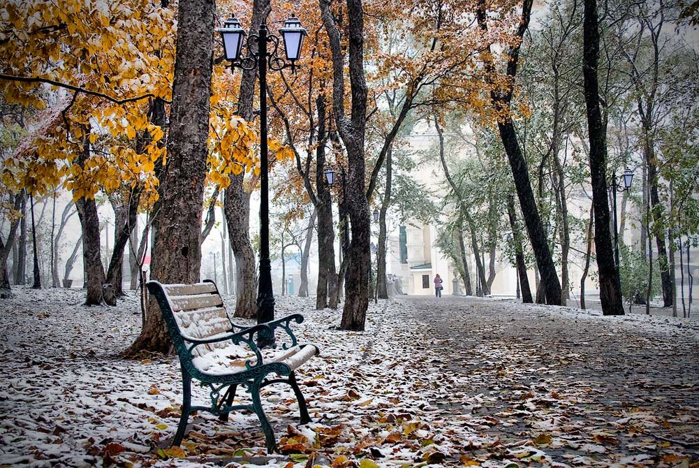 Иллюстрация-фото из Интернета