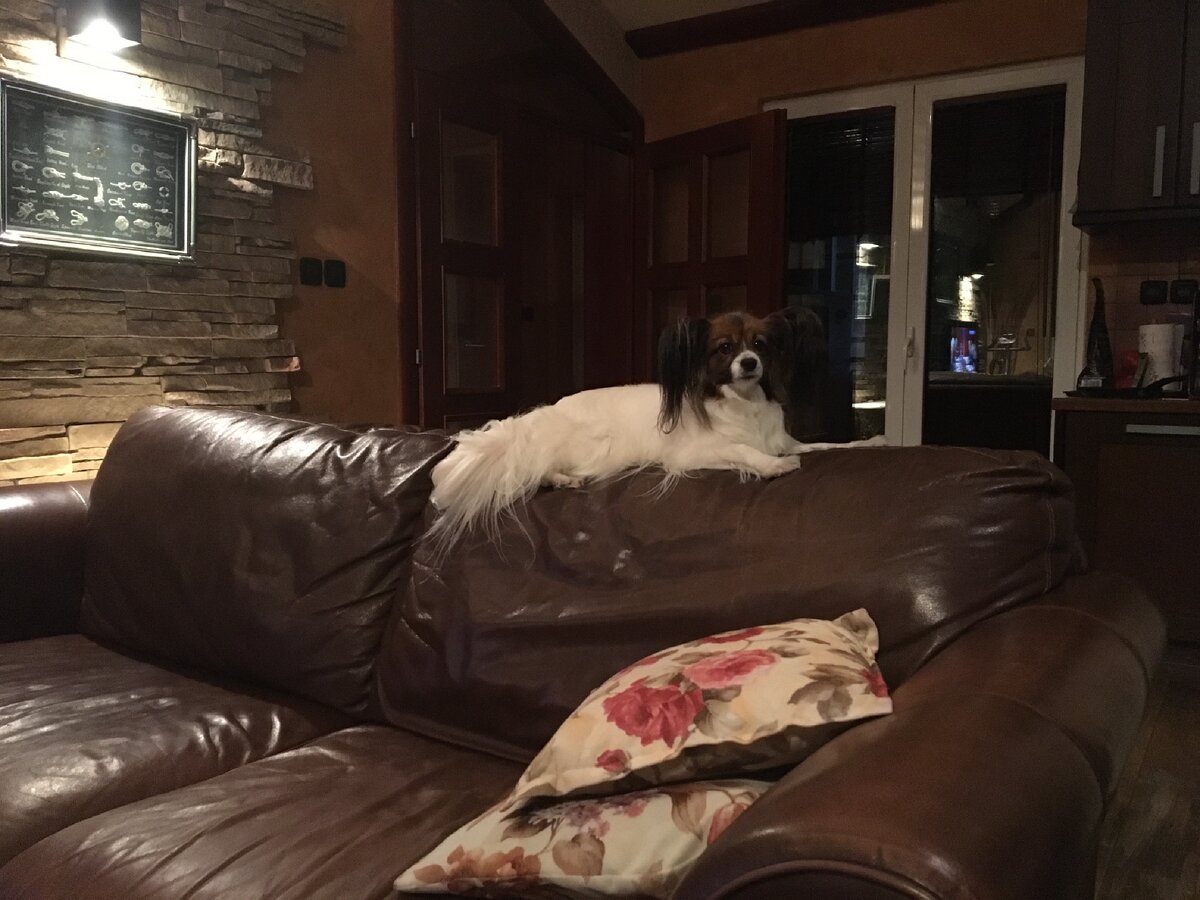 Любимые старые вещи - наша броня, как и наши лишние килограммы. Фото автора 