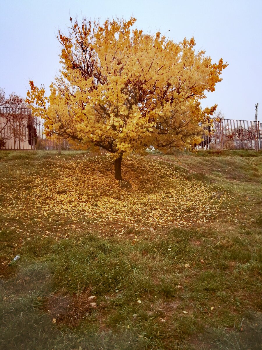 Севастополь, 05.12.20