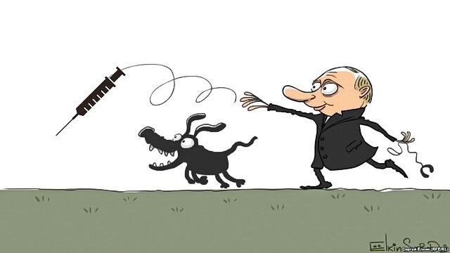 картинка из гугла