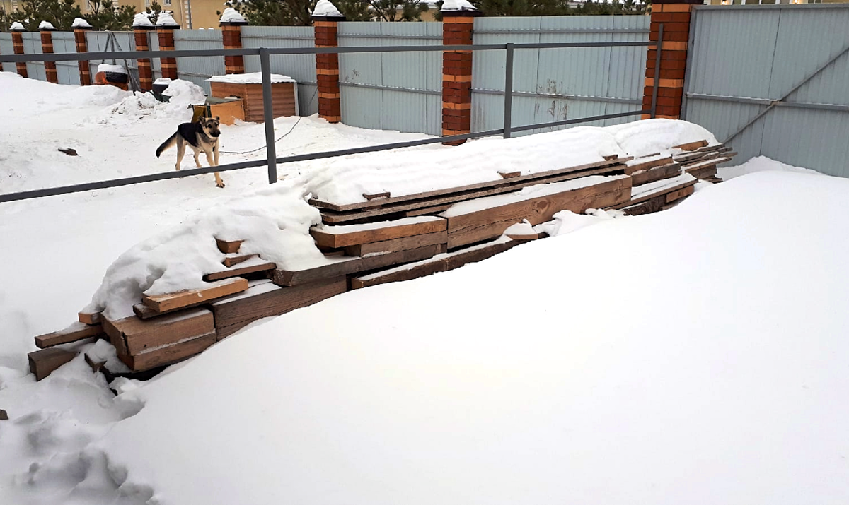 авторское фото Гор Багдасарян