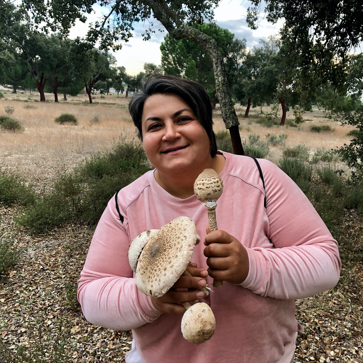 Гриб зонтик пестрый в разных стадиях