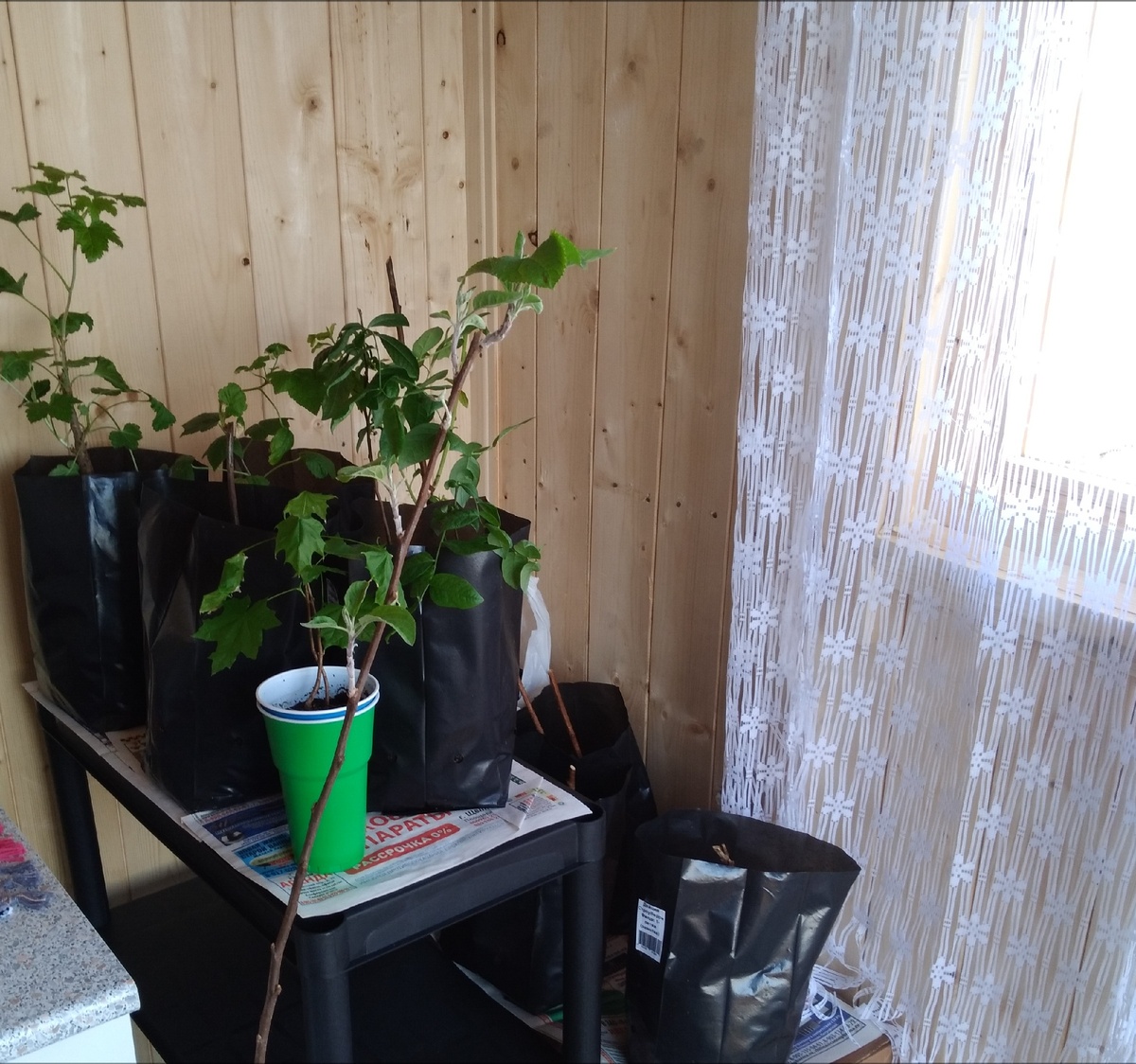 личное фото