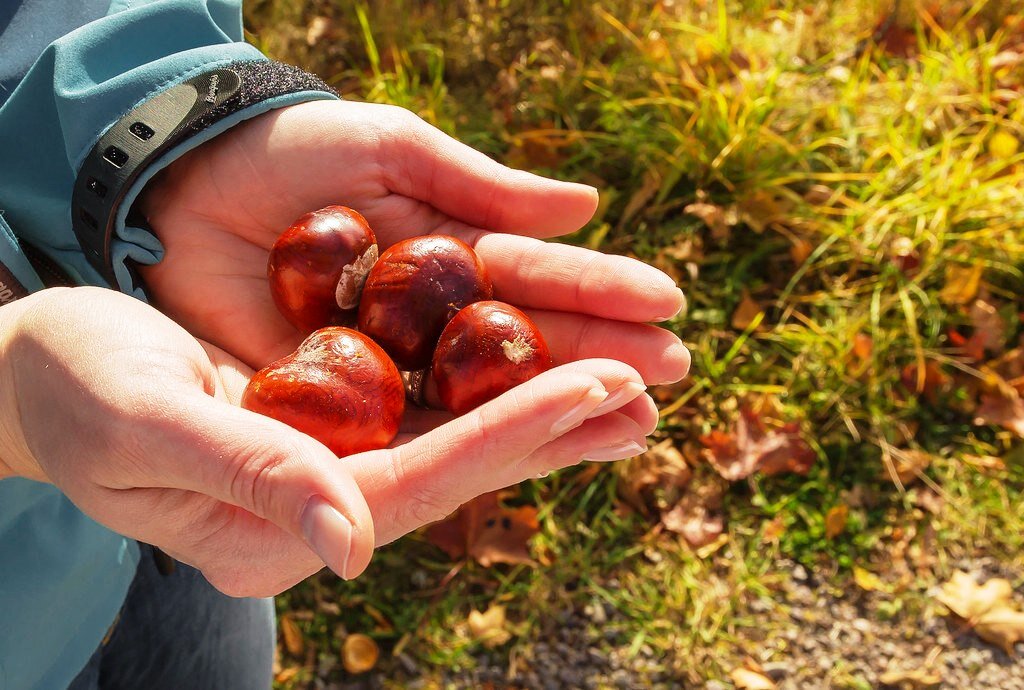 6 бытовых хитростей для привлечения богатства (источник фото: https://flic.kr/p/gscixd)