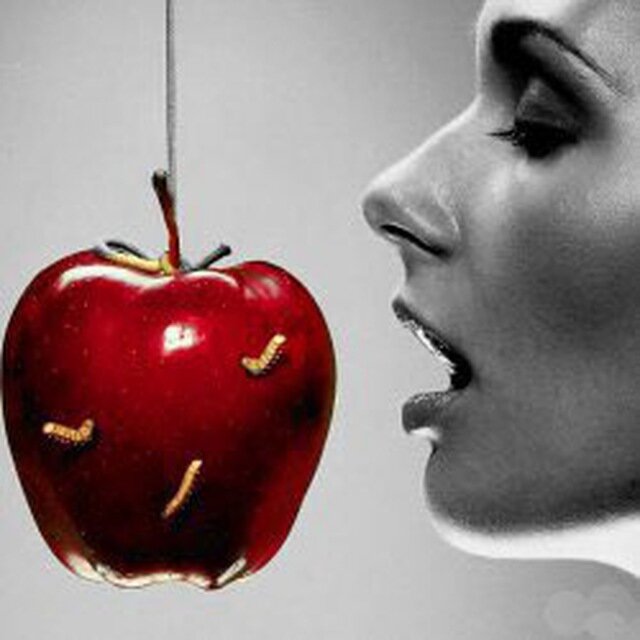 Вкусить яблочка с древа познания захотелось...
