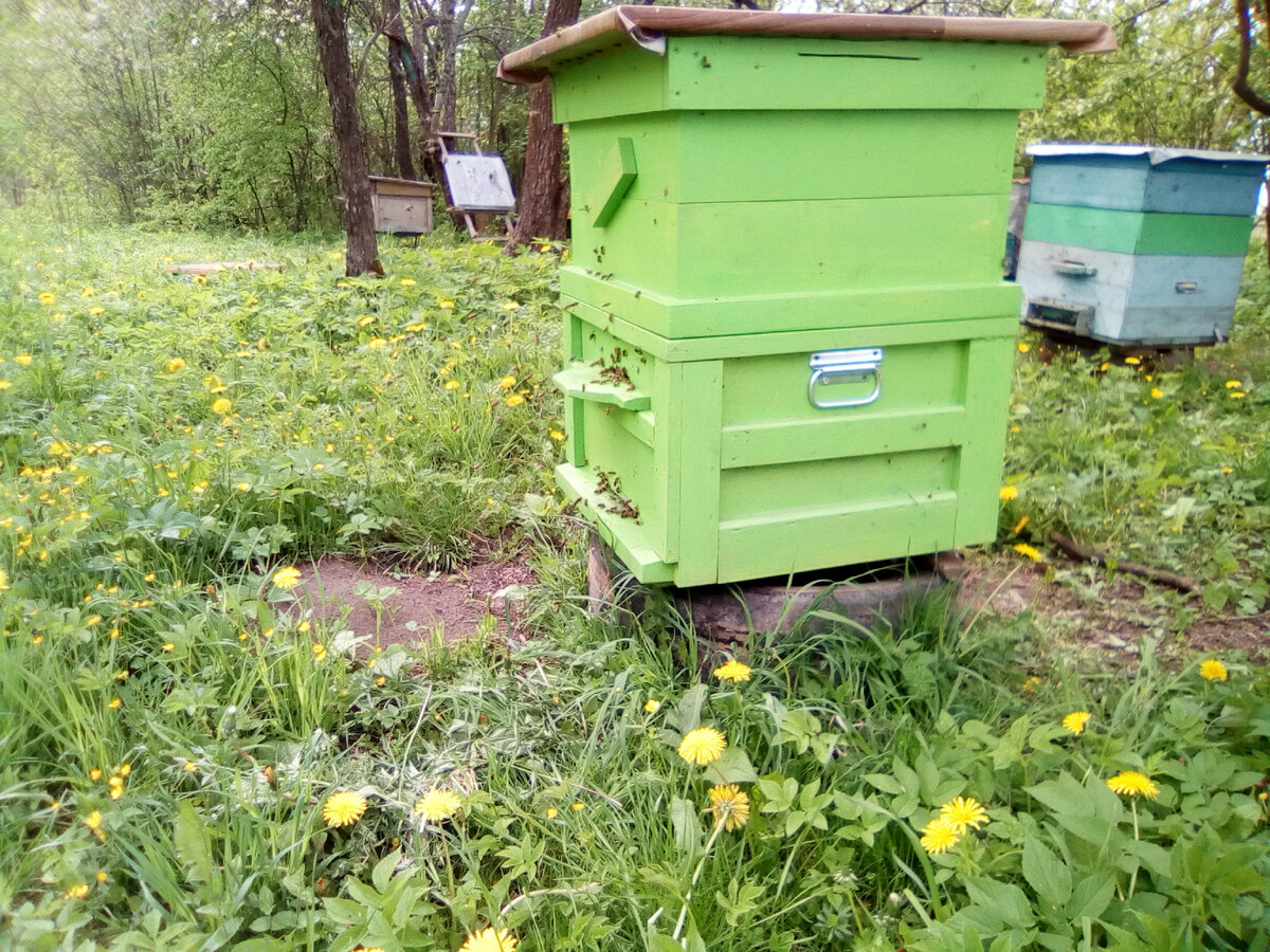 поставили второй корпус