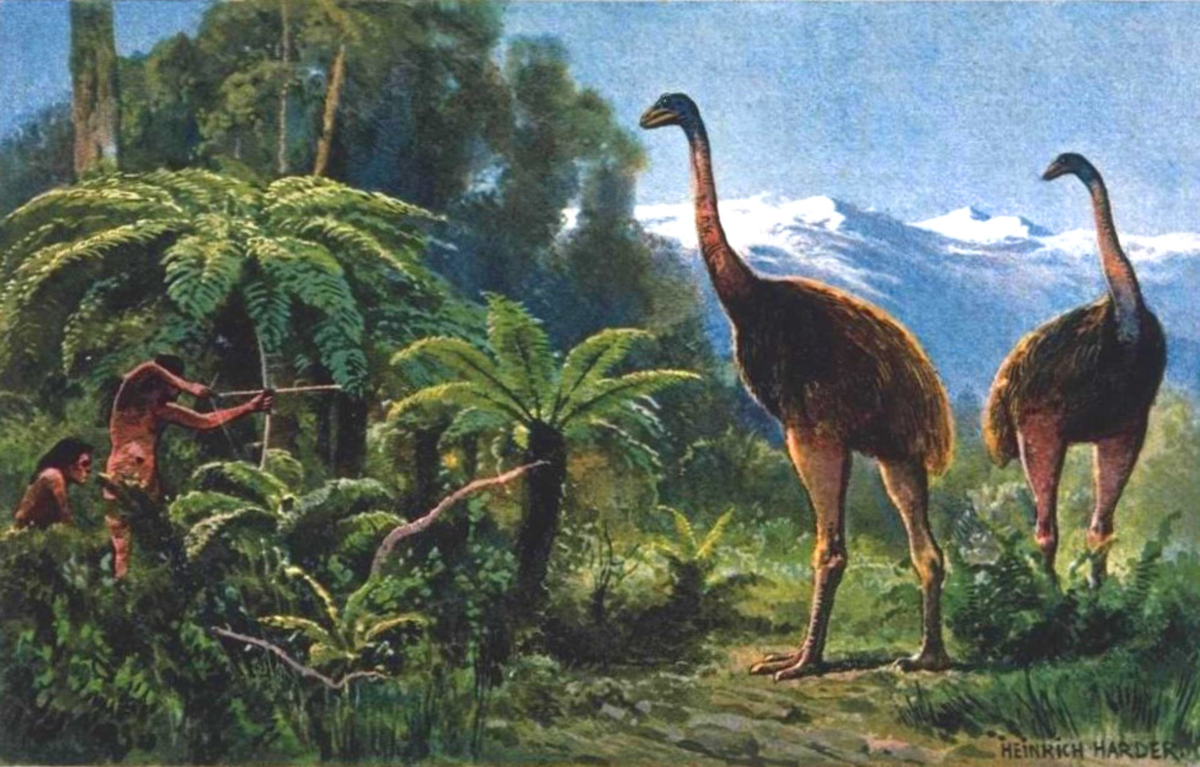 Люди не могли съесть такую тушу и часть пищи отдавали собакам. Источник: http://www.sci-news.com/