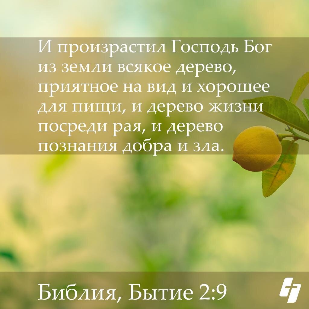 Картинка из открытых источников 