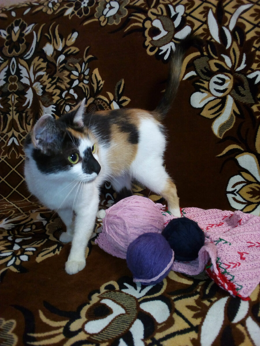 Крошка помощница