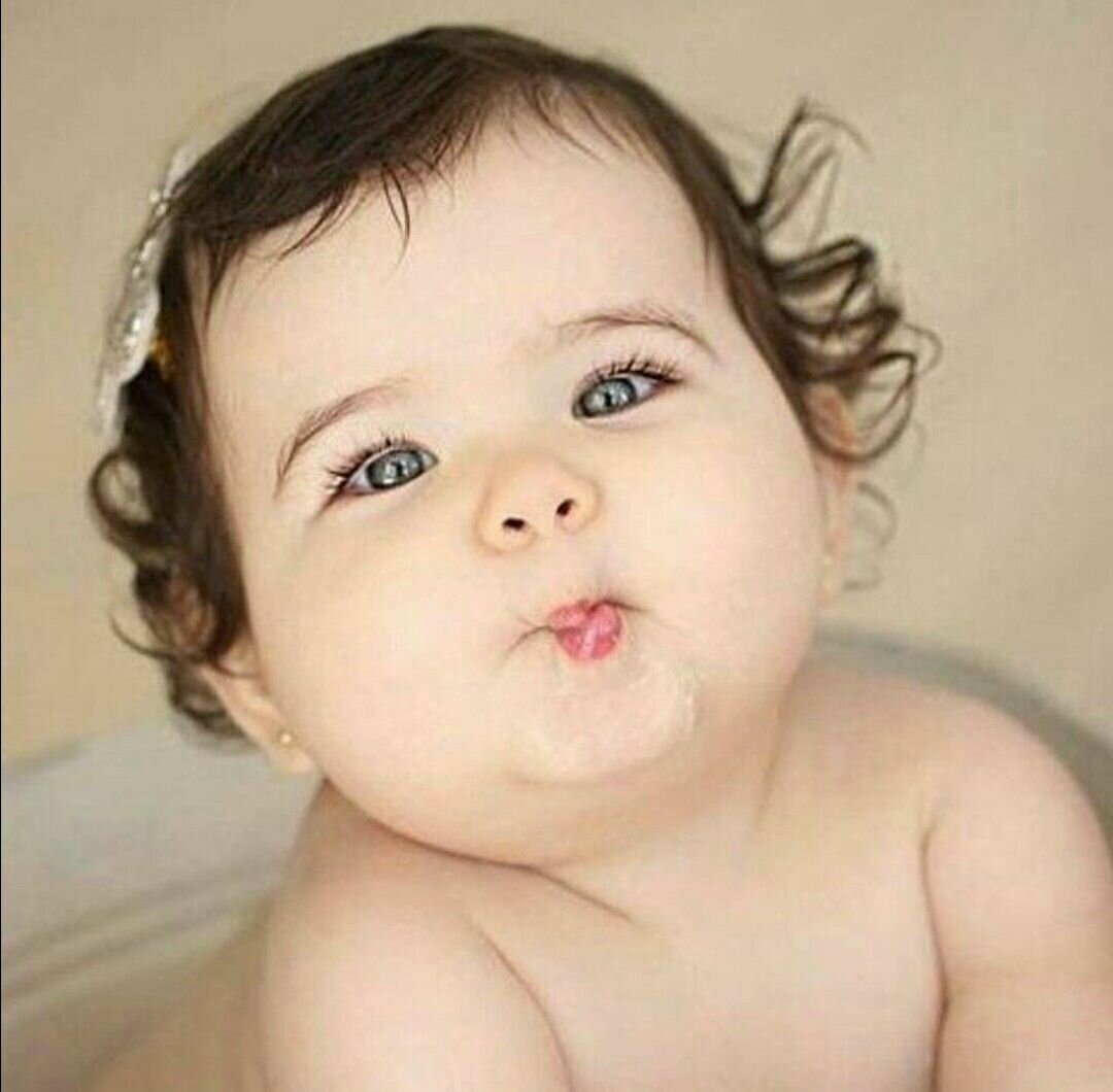 из свободного доступа в интернете