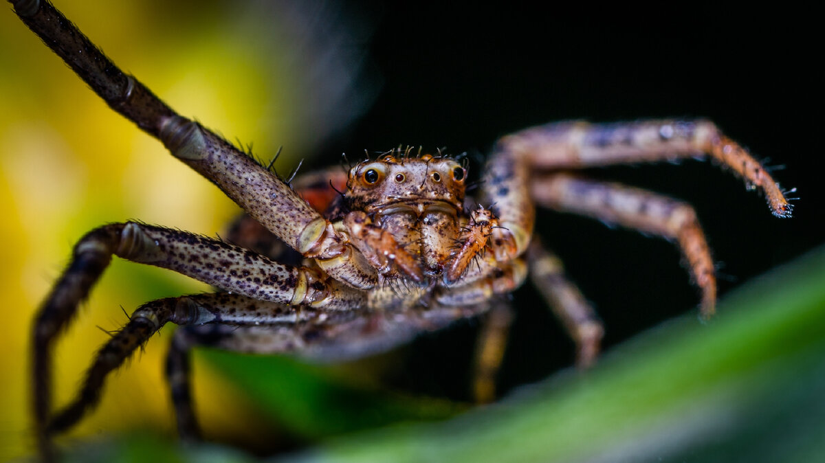 Photo by Egor Kamelev from Pexels