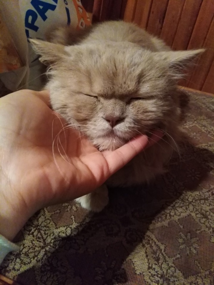 На передержке