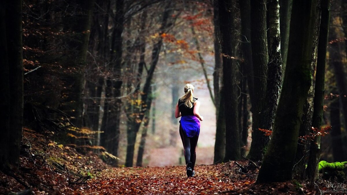 Фото взято из открытого источника