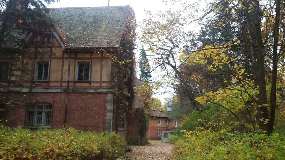 Особняк Великого Князя Бориса ( Великокняжеская дача) Пушкин. Московское шоссе 11