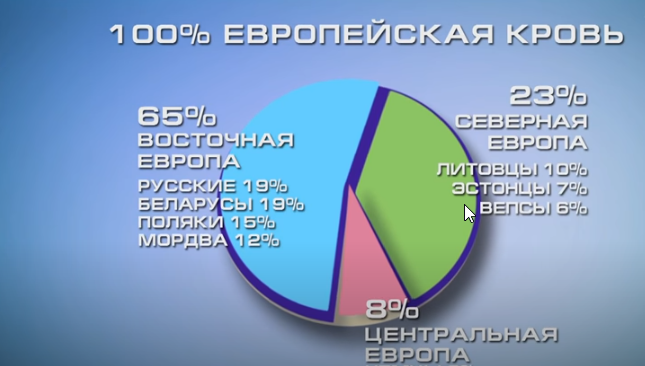 Национальность Влада Лисовца согласно генетическому анализу ADMIXTURE