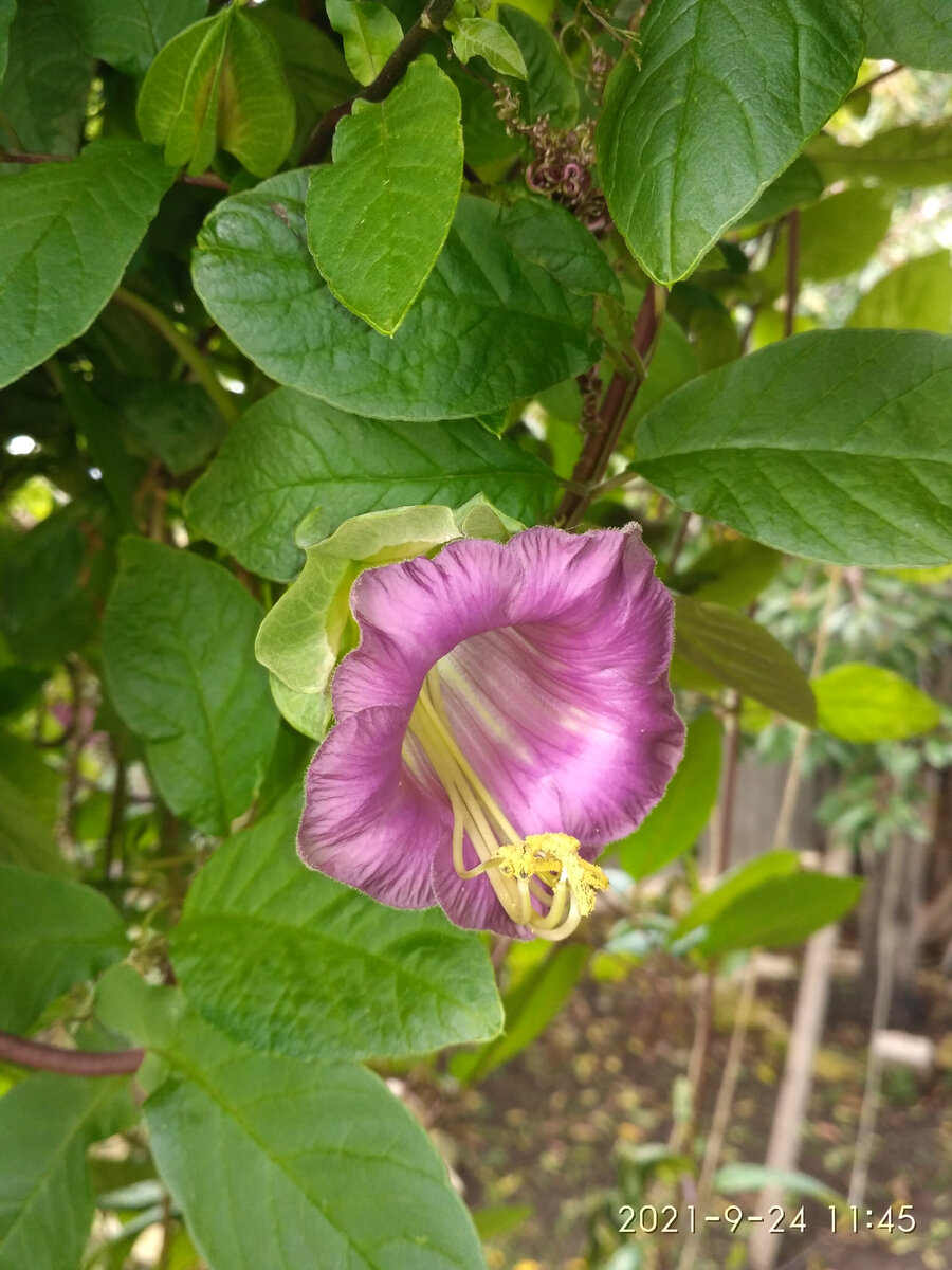 Фото из моего архива