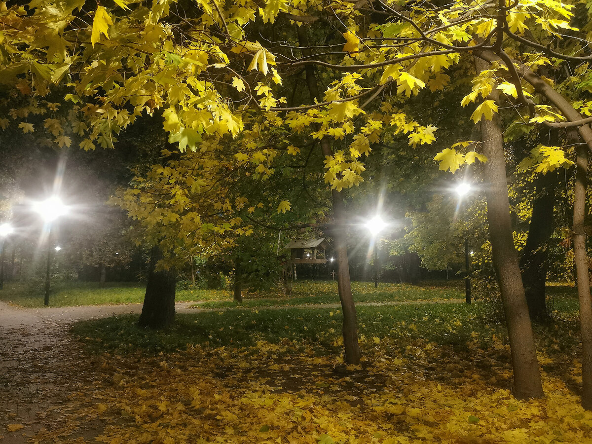 Фото автора